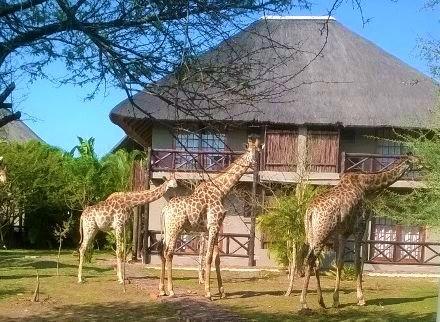 Rhulani Kruger Villa Marloth Park Kültér fotó